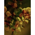 Flore, Végétal d'automne