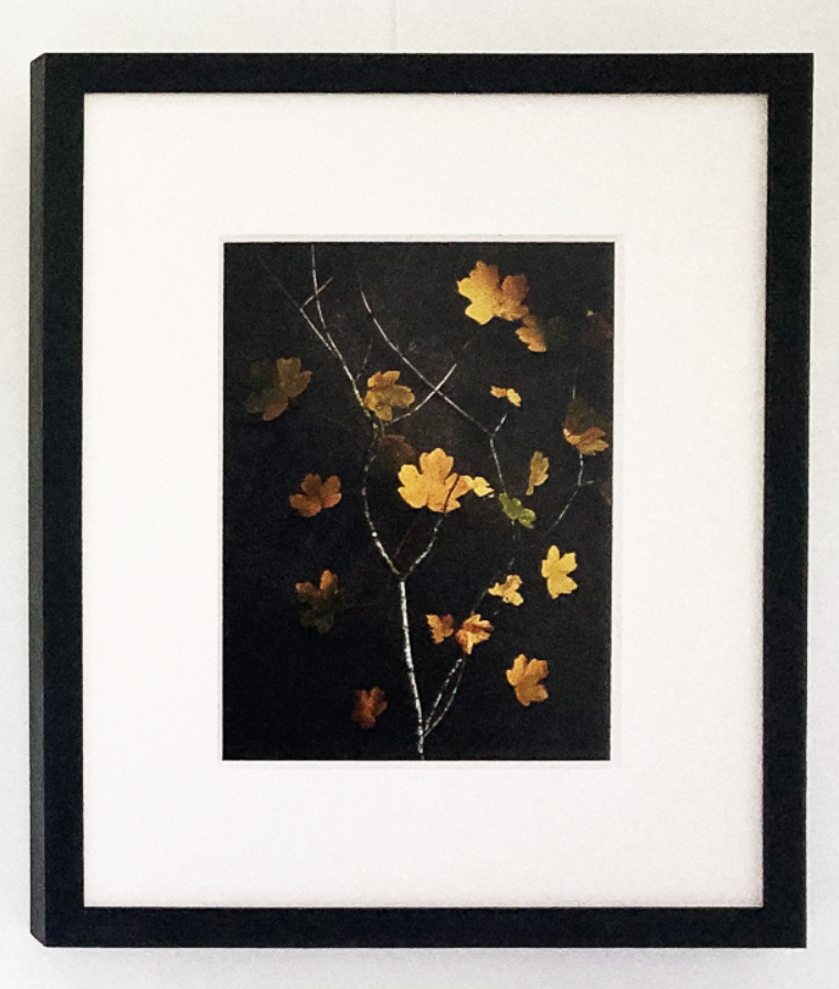 Flore, Feuilles jaunes