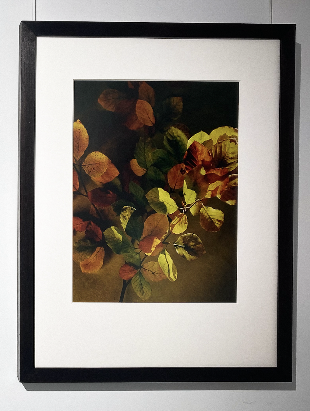 Flore, Végétal d'automne