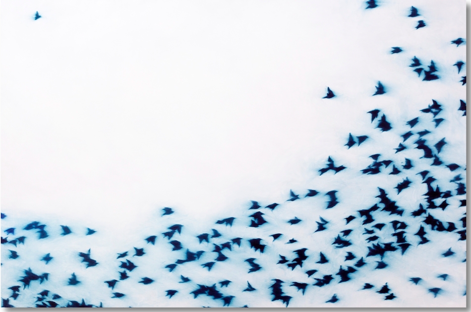 Flight-eberhard-ross-zeuxis