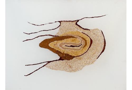 Rio Negro IV - Placenta-Vermelha