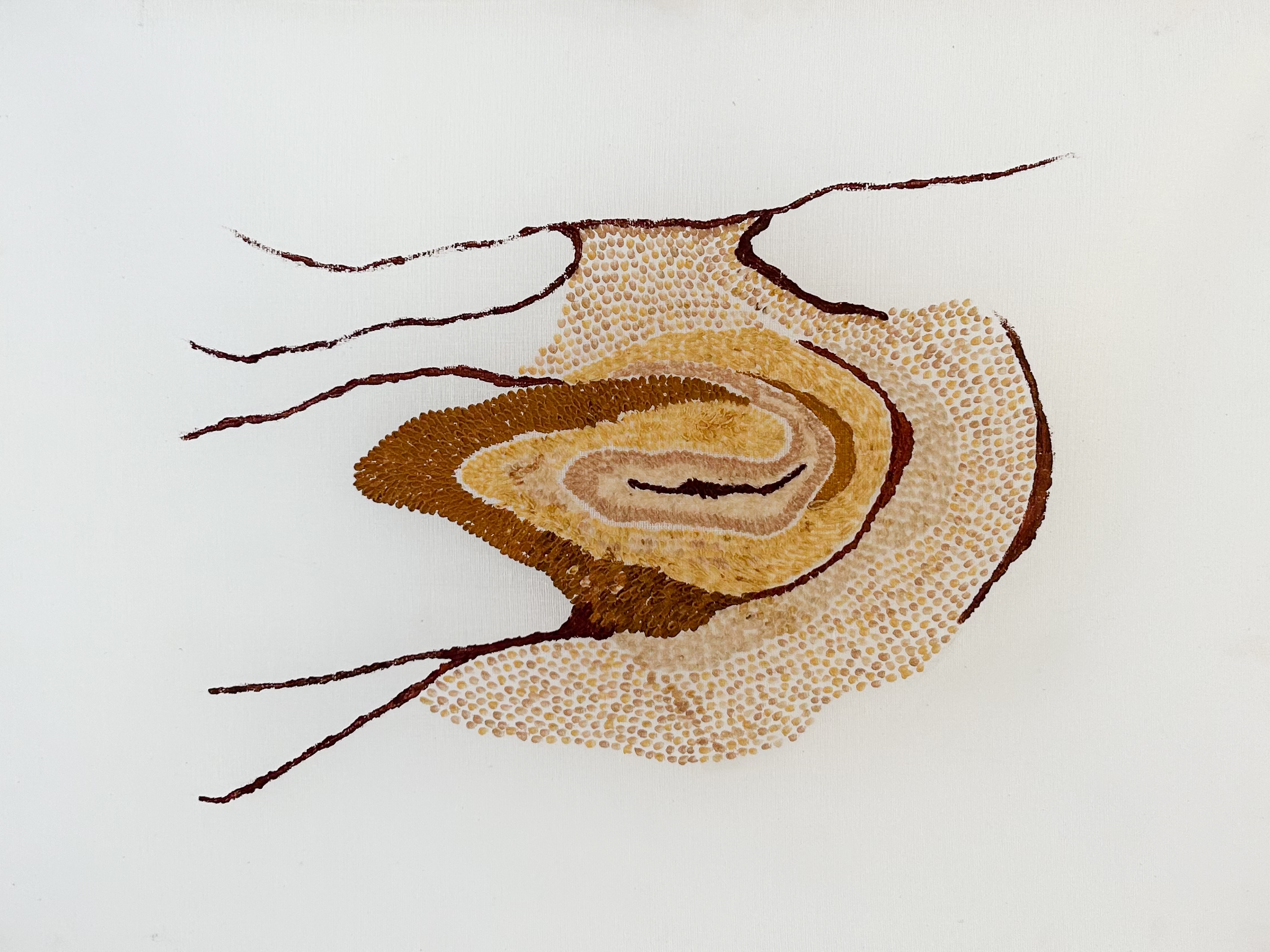 Rio Negro IV - Placenta-Vermelha