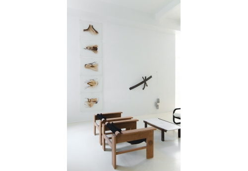 Rio Negro V - Vênus-Floresta