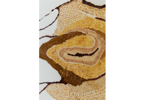 Rio Negro IV - Placenta-Vermelha