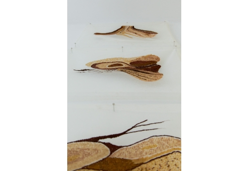 Rio Negro II - Olhos que escutam