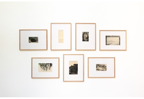 D'un battement d'ailes