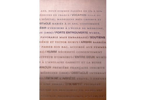 Plaque cuivre portrait : Madeleine Brès