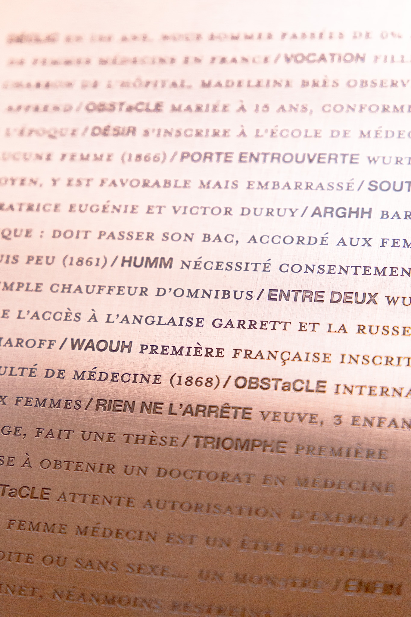 Plaque cuivre portrait : Madeleine Brès