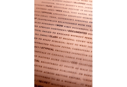 Plaque cuivre portrait : James Barry