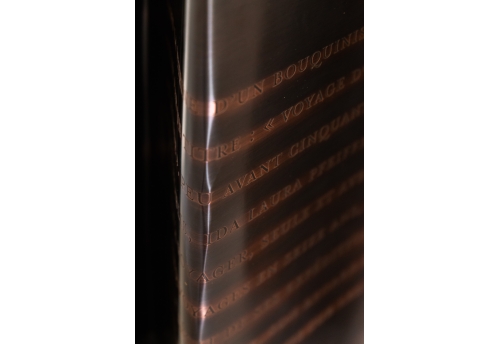 Plaque cuivre portrait : Ida Pfeiffer 