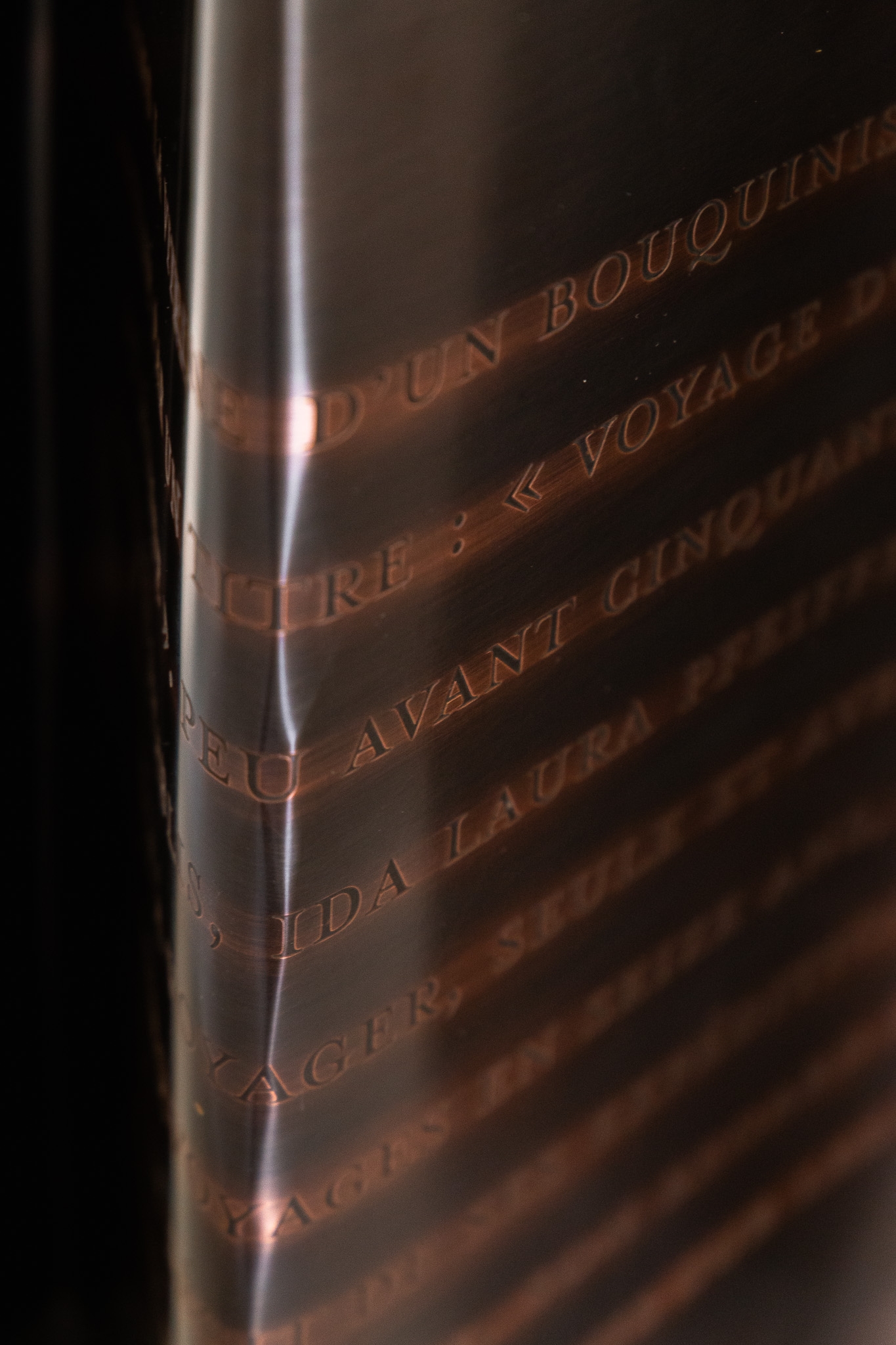 Plaque cuivre portrait : Ida Pfeiffer 