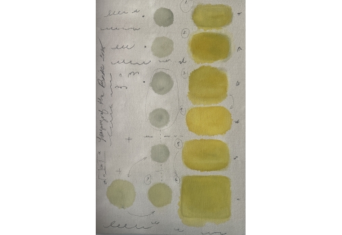 Language of the Birds 12 (yellow)