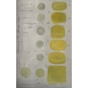 Language of the Birds 12 (yellow)