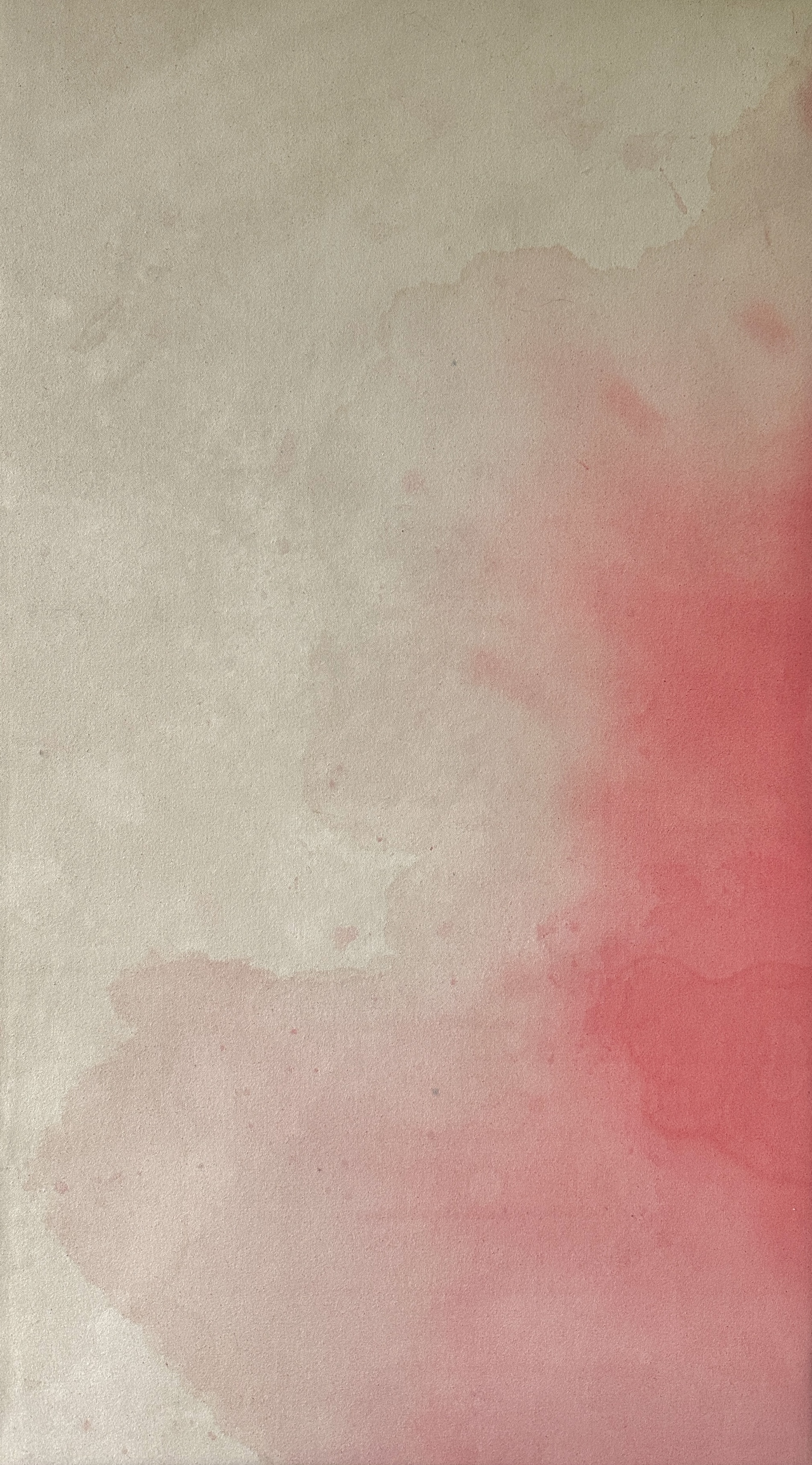 Color Field (pink)