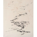Untitled 16
