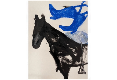 À Dos de Cheval