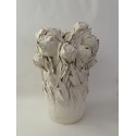 Pivoines de printemps