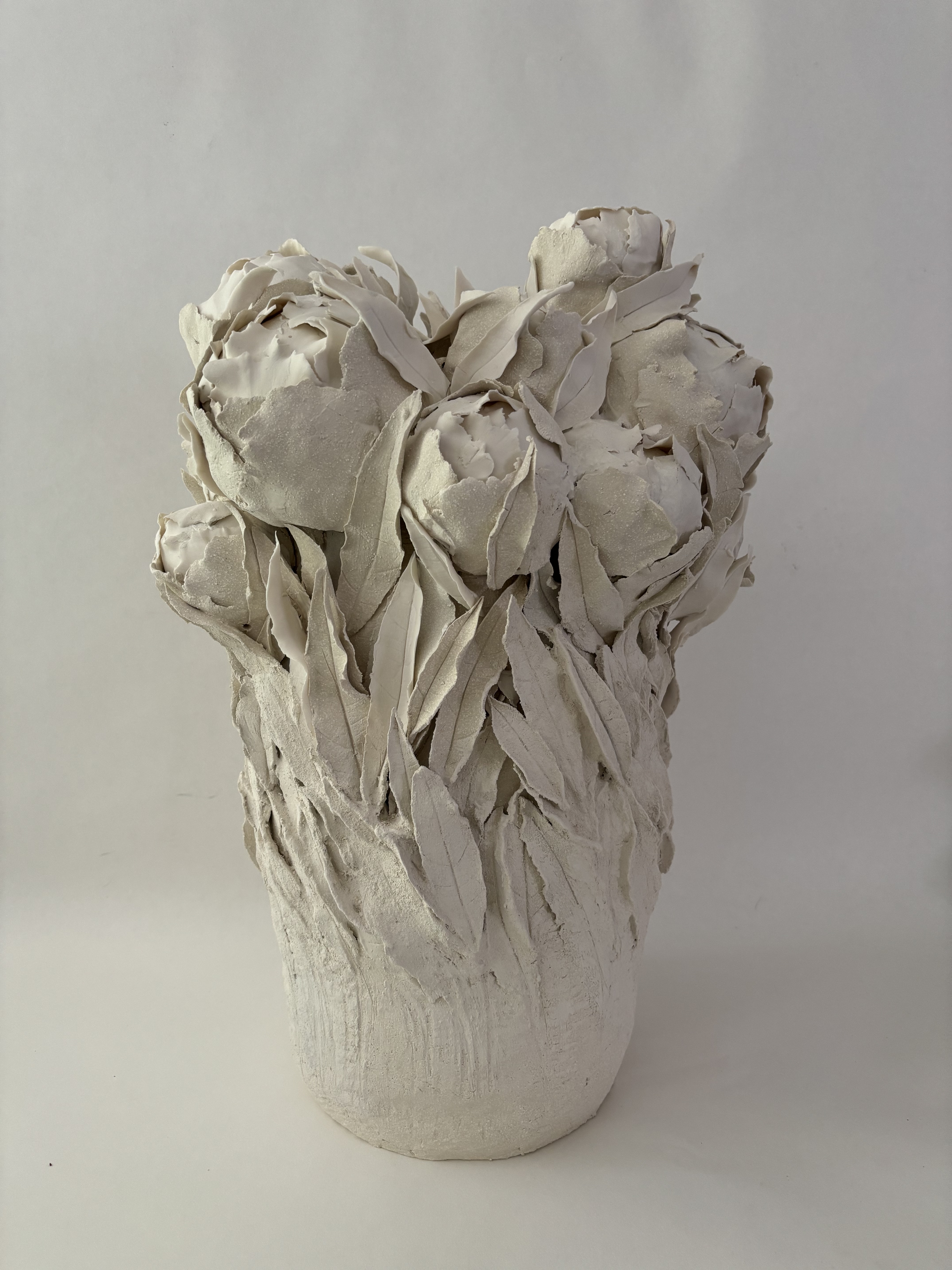 Pivoines de printemps