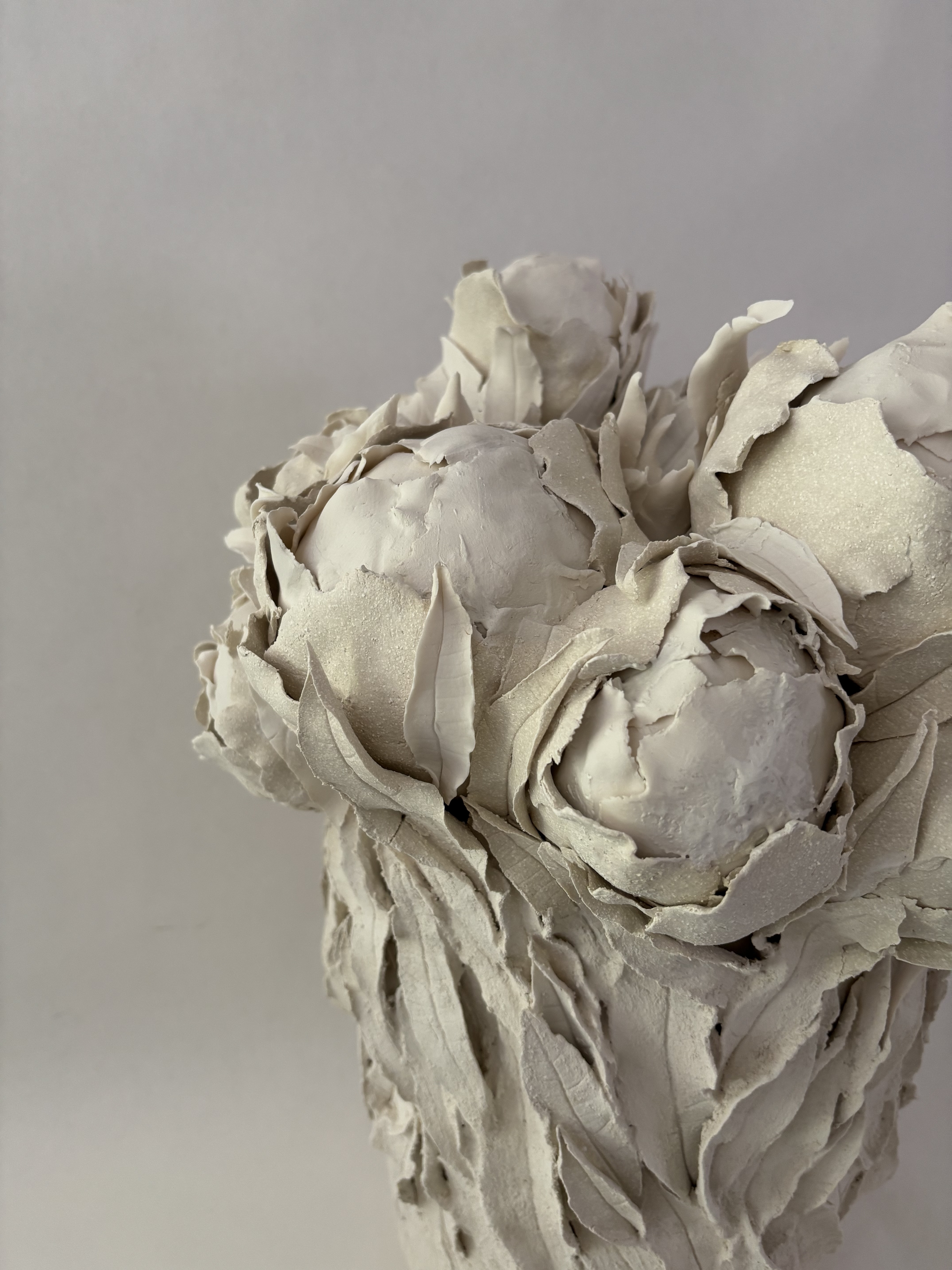 Pivoines de printemps