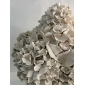 Hortensias de printemps