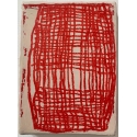 Petit Possible Rose Geranium 2