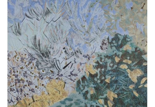 Deep Into the Acacia