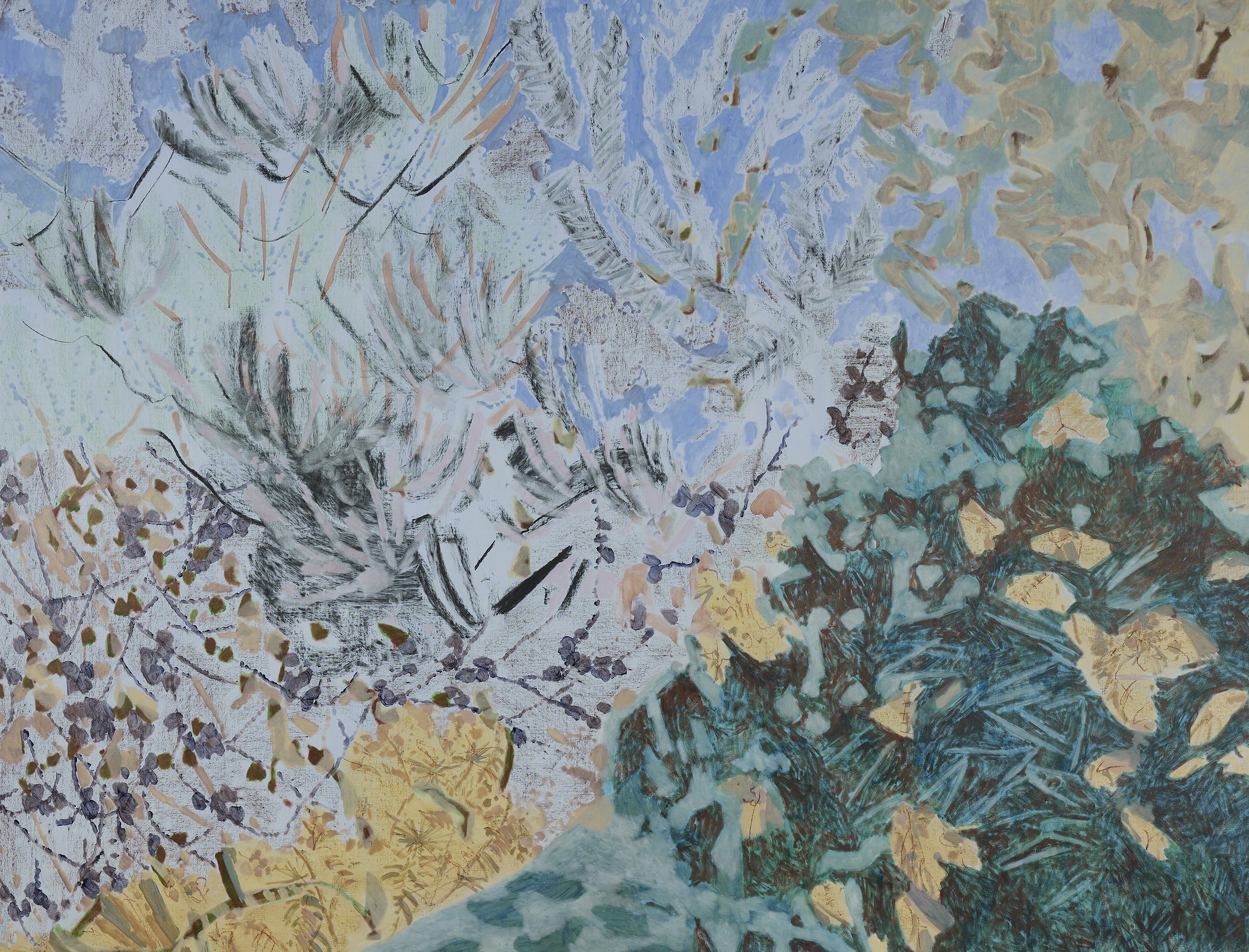 Deep Into the Acacia