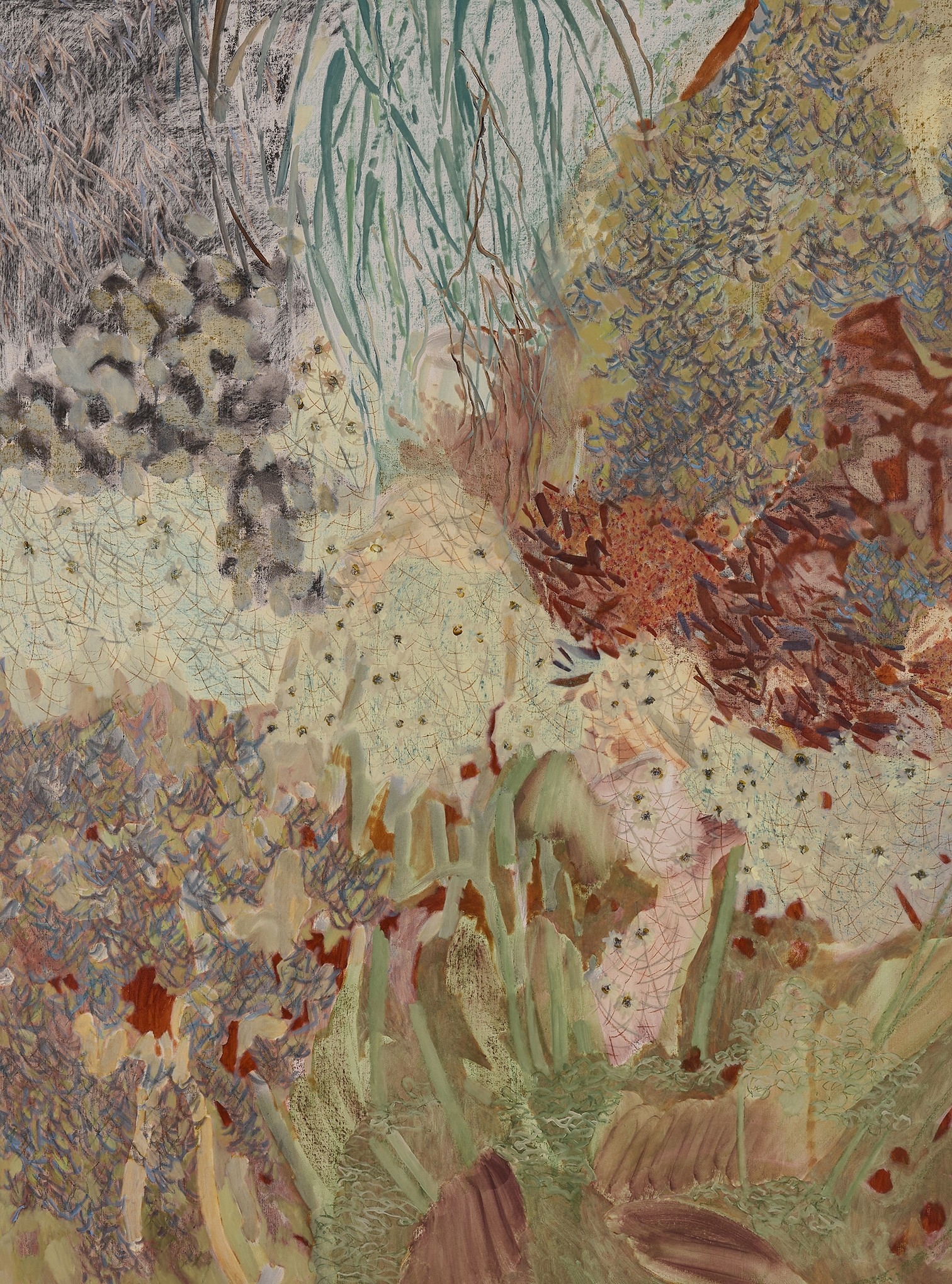 Low Lying Vegetation Carpeting Sienna Grounds