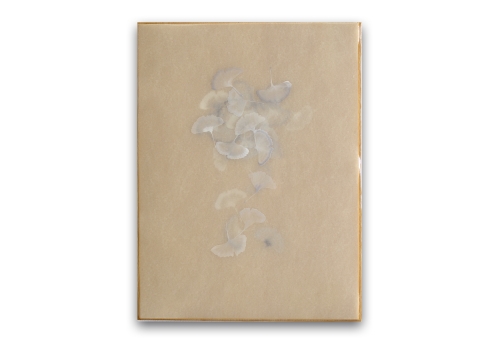 Poem R2529