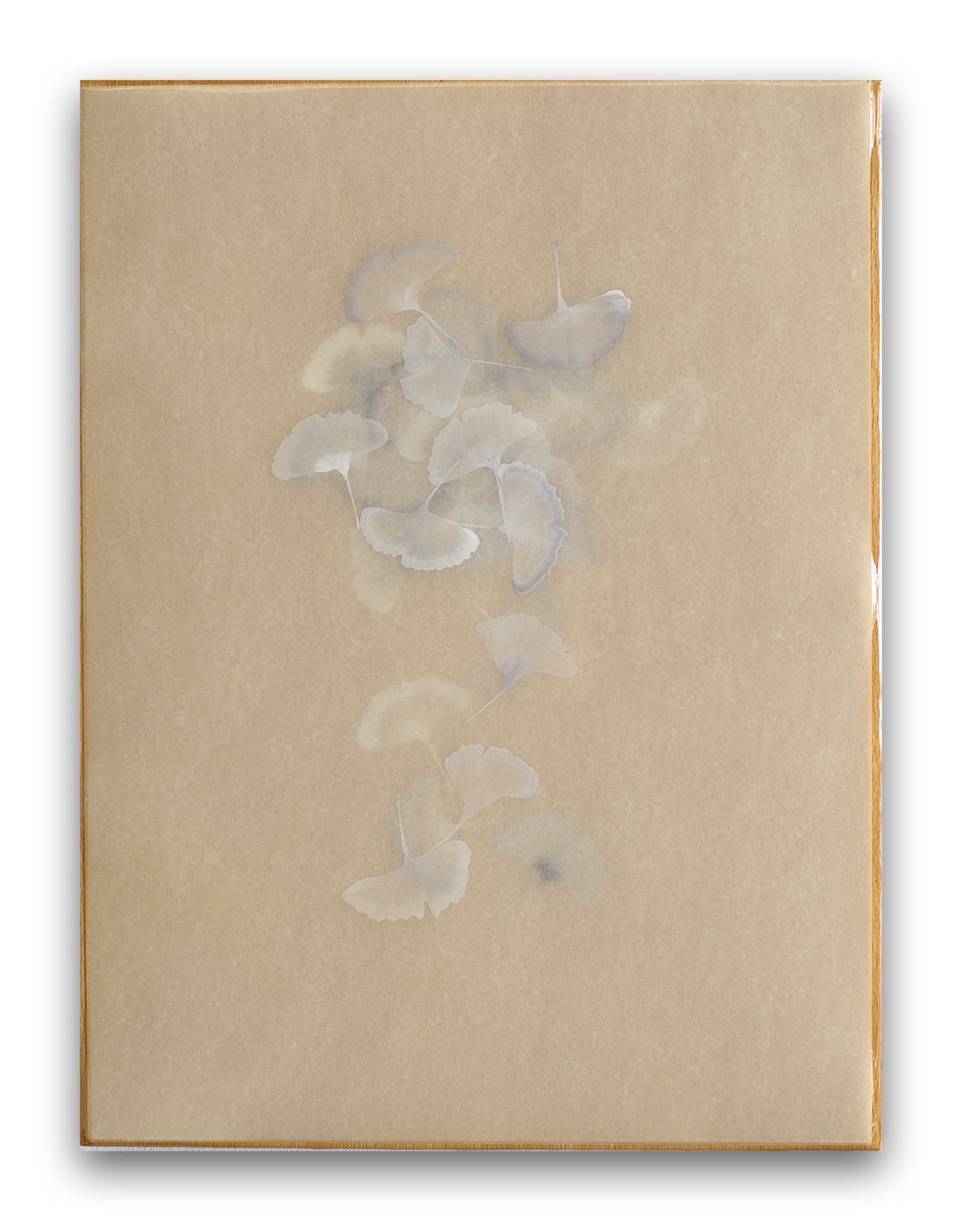Poem R2529