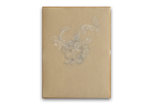 Poem R2530