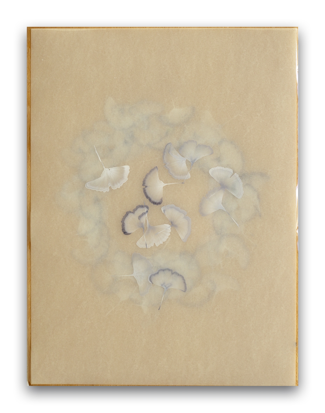 Poem R2532