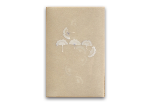 Poem R2533