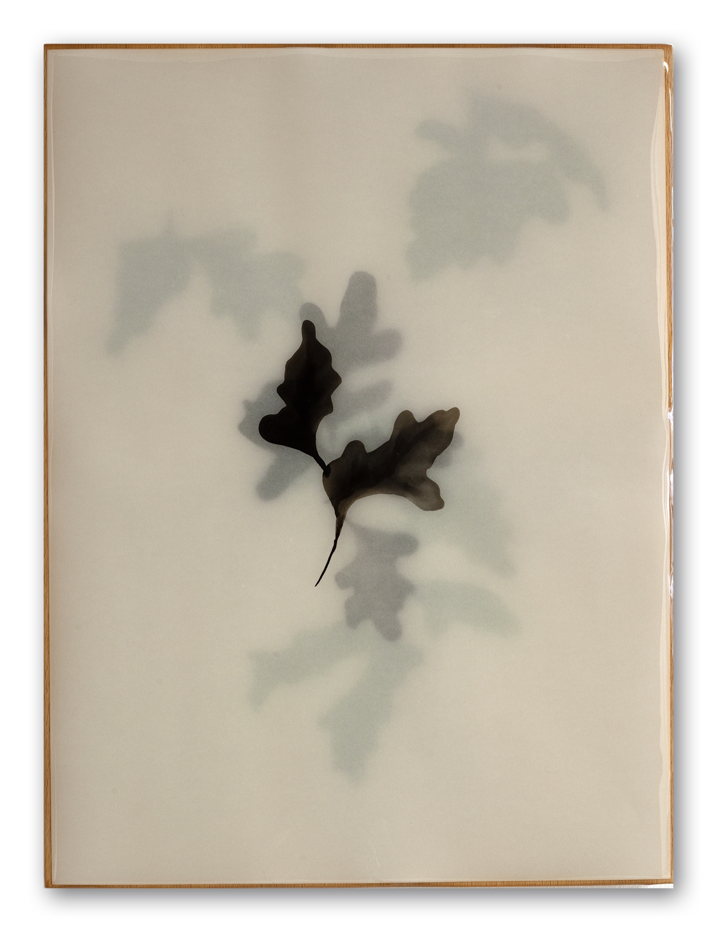Oak's poem R2442