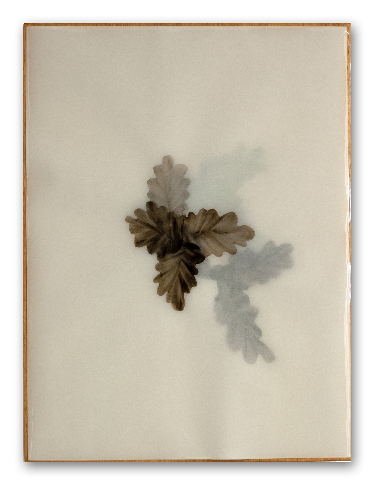 Oak's poem R2441