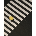 Tokyo 4