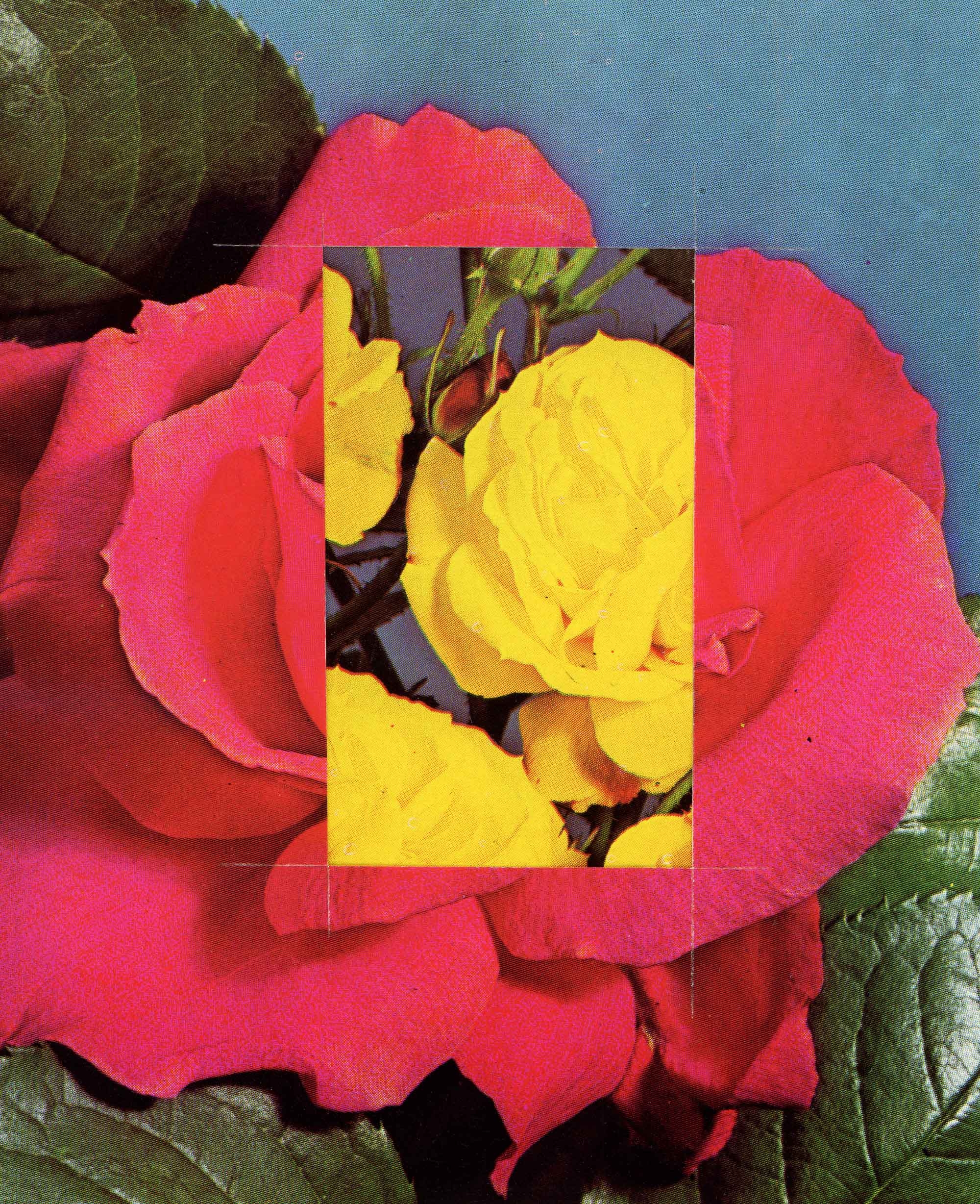Neon Roses