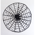 Cercle noir