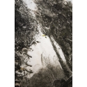 Paysage avec arbres III
