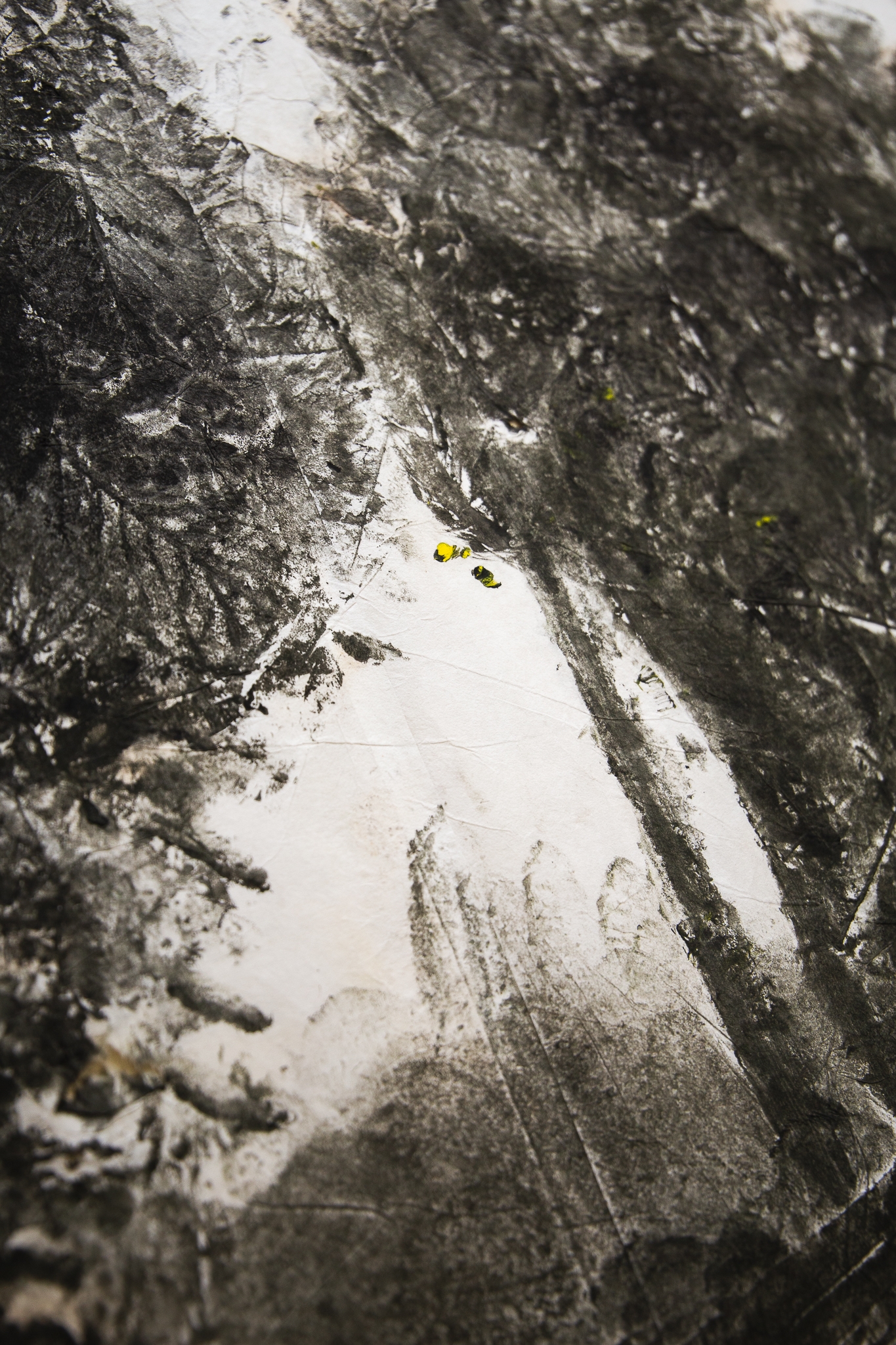 Paysage avec arbres III
