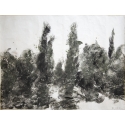 Paysage avec arbres I