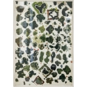 Toscane I
