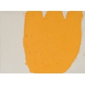 Little-One Cadmium Yellow Hue