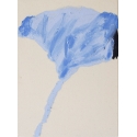 Indigo Sky