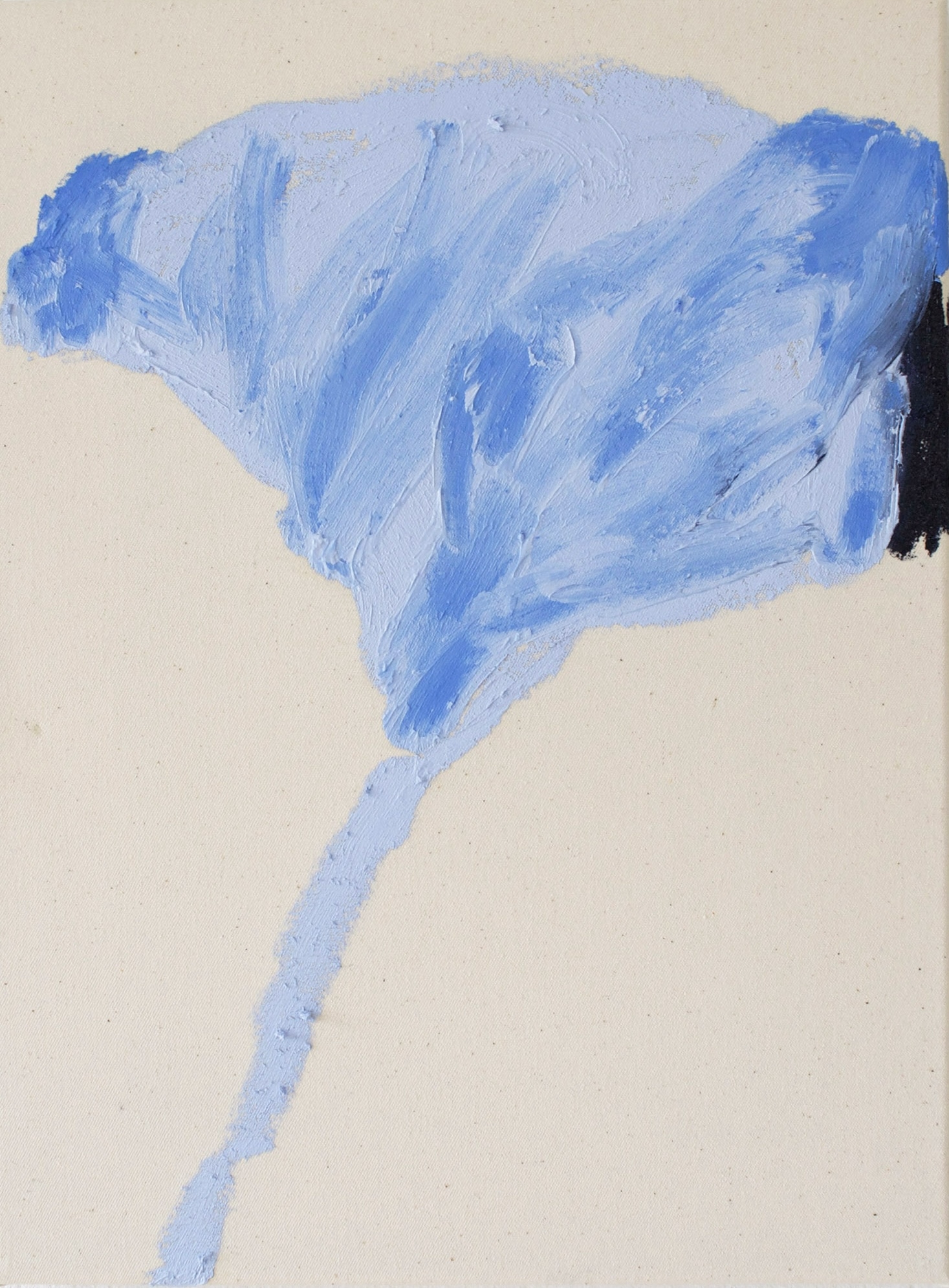 Indigo Sky