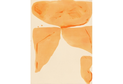 Cadmium Orange Fields