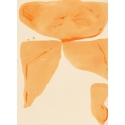 Cadmium Orange Fields