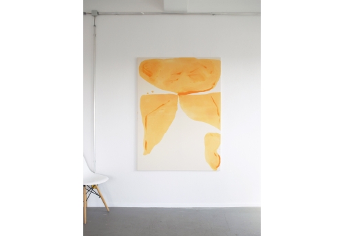 Cadmium Orange Fields