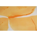 Cadmium Orange Fields