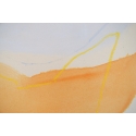Yellow and Blue Line